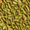 Cardamom Pods Green spice grocery natural 200g 7 ounce bags view 3
