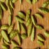 Cardamom Pods Green spice grocery natural 200g 7 ounce bags view 4