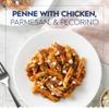Barilla Penne Pasta, 16 oz. Box (Pack of 8) - Non-GMO, Made with Durum Wheat Semolina - Kosher Certified view 3