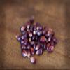 Amish Country Popcorn | 2-2 lbs Bags | Red Popcorn Kernels | Old Fashioned, Non-GMO and Gluten Free view 2