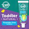 Tom's of Maine Fluoride-Free Toddler Training Toothpaste, Mild Fruit, 1.75 oz. 3-Pack (Packaging May Vary) view 2