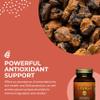 HEALTHFORCE SUPERFOODS Integrity Extracts Chaga - Powder - 150 Grams view 4