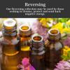 Reversing Oil by Art of the Root | Handmade with Herbs & Essential Oils | Conjure, Wiccan, Hoodoo, Pagan & Magick | Negative Energy, Protection & Spiritual Cleansing Rituals view 3