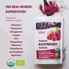 Organic Freeze-Dried Raspberry Powder  100% Natural Whole Fruit, Certified Organic Red Raspberries  Perfect for Smoothies, Shakes & Baking  Non-GMO, No Added Sugar  6oz (33 Servings) view 3