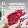 Organic Freeze-Dried Raspberry Powder  100% Natural Whole Fruit, Certified Organic Red Raspberries  Perfect for Smoothies, Shakes & Baking  Non-GMO, No Added Sugar  6oz (33 Servings) view 4