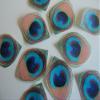 12 Edible Peacock Feathers Pre-cut 2.5" Edible Feathers Decor Eyes Teal Blue Green - Perfect for Wedding Cakes Cupcakes Desserts Decorations view 2