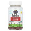 Garden of Life Kids Immune Support Gummies with Vitamin C, D as D3 & Zinc for 3-in-1 Daily Childrens Immunity  Organic, Non-GMO, Gluten-Free, Vegetarian, Sugar Free, Cherry Flavor, 30 Day Supply view 3