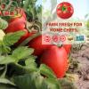 Dei Fratelli Sloppy Joe Sauce (15oz - 6 pack) - Vine-Ripened Tomatoes - No Water, No Corn Syrup, Non GMO, Gluten-Free view 3