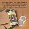 The Republic of Tea - Organic Elderberry Herbal Tea, 36 Tea Bag Tin view 4