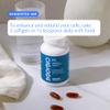 BodyBio PC - Phosphatidylcholine for Brain Health, Mental Clarity, Cognitive Function, Cellular Repair & Healthy Aging, Phospholipid Complex Supplement for Gentle Daily Detox view 4