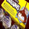 Fibisco Choco Mallows 100g Pack of 10 by Fabisco view 4