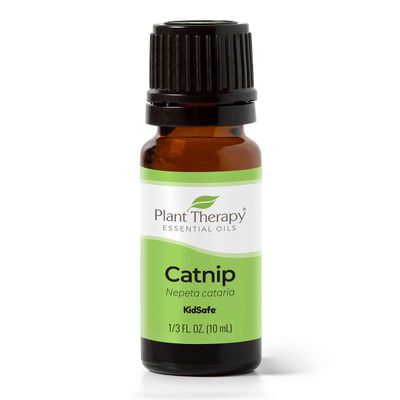 Plant Therapy Catnip Essential Oil 10 mL (1/3 oz), 100% Pure, Undiluted, Natural Aromatherapy, for Out Door Activities, Respiratory Support, and Digestive Relief