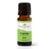 Plant Therapy Catnip Essential Oil 10 mL (1/3 oz), 100% Pure, Undiluted, Natural Aromatherapy, for Out Door Activities, Respiratory Support, and Digestive Relief view 1