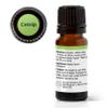 Plant Therapy Catnip Essential Oil 10 mL (1/3 oz), 100% Pure, Undiluted, Natural Aromatherapy, for Out Door Activities, Respiratory Support, and Digestive Relief view 3