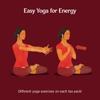 (2 Pack) - Yogi Tea - Classic Cinnamon Spice | 17 Bag | 2 PACK BUNDLE view 4