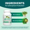 Nutramax Laboratories Avmacol #1 Researched Sulforaphane-Producing Brand for Detoxification with Glucoraphanin and Active Myrosinase, Adults & Children, 60 Tablets view 2