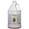 Lice Eradicator Foam Mousse 1 Gallon Refill Bottle / Non-Toxic, Natural Lice Treatment, Soothing Peppermint Formula / 128 Ounce Bottle view 1
