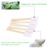 Hztyyier 30pcs Mini Disposable Toothbrush No Toothpaste Needed Portable Soft Oral Care for Kids, Aged, Maternity, Travel (Lemon) view 3