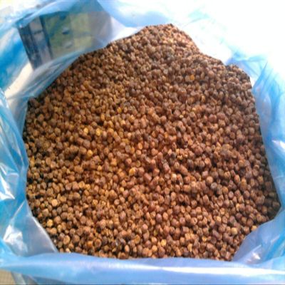 450g / 1 pound Bees Bread (Perga, Bienenbrot, Ambrosia)