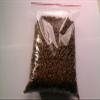 450g / 1 pound Bees Bread (Perga, Bienenbrot, Ambrosia) view 4