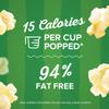 Orville Redenbacher's SmartPop! Kettle Corn Popcorn, 1.16 Ounce Single Serve Bag view 3