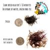 Hula Market Dried Hawaiian Ogo Seaweed view 2