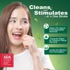 The Natural Dentist Stim-U-Dent Mint Dental Picks, Wooden Toothpicks for Food & Plaque Removal, Refreshing Mint Flavor, Travel-Friendly, 24 Packs of 25 Picks/Pack (600 Picks) view 3