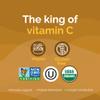 Zint Camu Camu Powder Organic | Superfood Powder | Organic Fruit Ingredient | Antioxidants Source Perfect for Smoothies, Juices, Ice Creams | Non-GMO, Gluten-Free, Kosher | 3.5 oz view 3