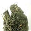 Ancient Indian Ayurvedic Herb Swertia,Chirayata, chirata from Sanaa Zesty (2) view 3