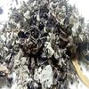 Authentic Indian Black Stone Flower,Dagad Phool,Kalpasi from Sanaa Zesty (2) view 2