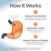 Kibow Renadyl Kidney Probiotic Supplement | Urea, Creatinine, & Uric Acid Support | 45 Billion CFUs | Clinically Tested, Non-GMO, & Made in USA, 180 Capsules (3 Bottles, 3 Month Supply) view 4