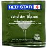 Red Star Cotes des Blanc Wine Yeast - 6 Pack view 1
