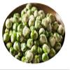 Hot Wasabi Green Peas 2 Lbs - Medley hills farm view 3