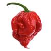 Carolina Reaper Flakes (4 Oz) view 2