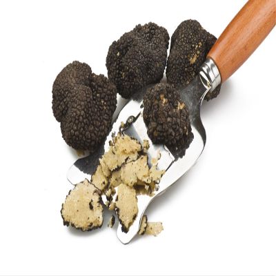 Elle Esse - Italian Black Summer Truffle Breakings - 12 oz (340g)