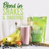 BetterBody Foods Organic Plant Based Protein Powder, 16g of Protein 24% DV, Vegan, Low Net Carbs, Gluten Free, Dairy Free, No Sugar Added, Soy Free, Non-GMO, 12.7 Ounces view 4