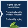 Life Extension GEROPROTECT Ageless Cell, Cellular Health, Healthy Aging, Vitamin E, N-Acetyl-L-cysteine, Green Tea Extract, myricetin, Gluten Free, Non-GMO, 30 softgels view 4