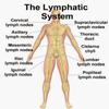 NaturalyPure LymphatiCare - Herbal Support for Fibroids, Cysts, Masses, Thyroid Nodules and Goiters. 120 Vegan Capsules Made in USA. view 3