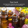Fast Luck Oil 1/2 oz | Handmade with Herbs & Essential Oils | Money Drawing, Good Fortune & Success Rituals | Hoodoo Voodoo Wiccan Pagan Conjure view 3