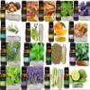 MABUA 18 Essential Oil Set with 20 Holes Case 100% Diffuser Lavender Lemon Peppermint TeaTree Argan Frankincense Bergamot Lemon view 4