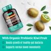 Prebiotics and Probiotics: Lactobacillus Gasseri, Lactobacillus Rhamnosus, Plantarum, Casei, Bifidobacterium longum, lactis, infantis. Probiotic Prebiotic, Pre and Probiotics for Digestive Health. view 4