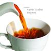 Akbar | Premium Ceylon Tea |100 Count String & Tag | High Grown Black Tea |Single Origin | Non GMO |Red & White Collection | 100 Teabags (Pack of 2) by Akbar view 2