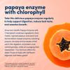 American Health Papaya Enzyme with Chlorophyll Chewable Tablets, 2 Pack - Promotes Nutrient Absorption, Helps Digestion and Freshens Breath - Gluten-Free, Vegetarian - 600 Tablets, 400 Total Servings view 4