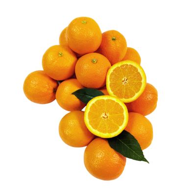 Capital City Fruit Gourmet Fresh Fruit Gift Box | Gift for Holiday, Thank You, Get Well | Sympathy Gift Box | Sweet Fruits | Healthy Snack | 18 Piece Fresh Oranges