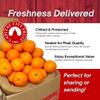 Capital City Fruit Gourmet Fresh Fruit Gift Box | Gift for Holiday, Thank You, Get Well | Sympathy Gift Box | Sweet Fruits | Healthy Snack | 18 Piece Fresh Oranges view 2