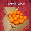 Capital City Fruit Gourmet Fresh Fruit Gift Box | Gift for Holiday, Thank You, Get Well | Sympathy Gift Box | Sweet Fruits | Healthy Snack | 18 Piece Fresh Oranges view 3