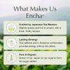 Encha Latte Grade Matcha Powder - First Harvest Organic Unsweetened Matcha Green Tea, From Uji, Japan (60g/2.12 Ounce) Premium Powder for matcha latte, smoothie | Caffeine, L-Theanine view 4