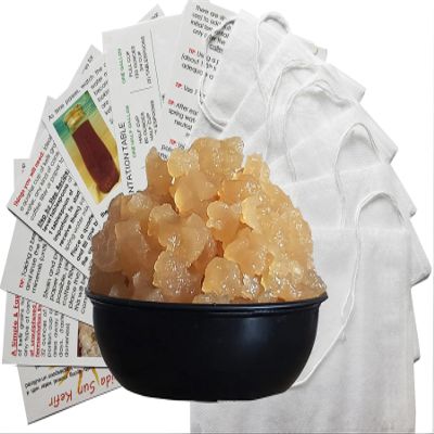 2 TWO PORTION CUPS Live Florida Sun Kefir LARGE HEALTHY Water Kefir Grains (Tibicos) Natural Probiotics