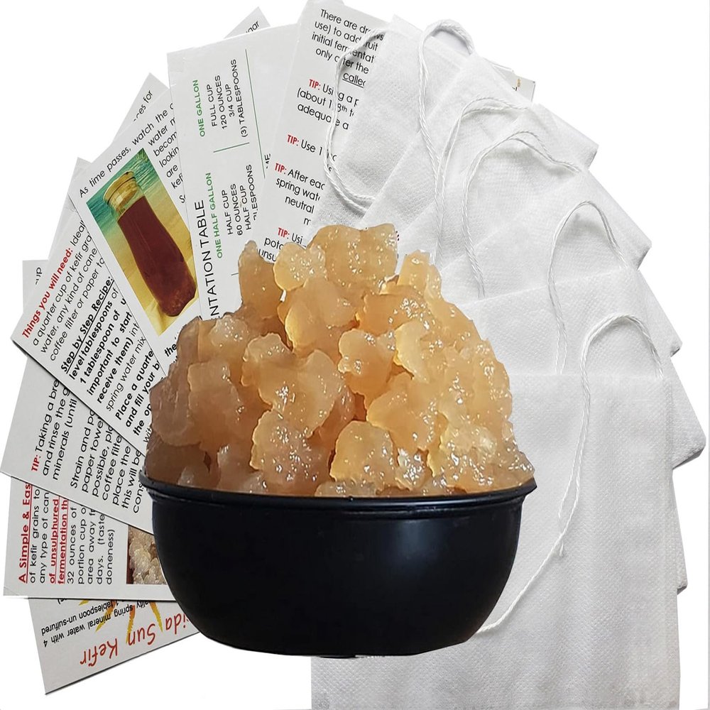 2 TWO PORTION CUPS Live Florida Sun Kefir LARGE HEALTHY Water Kefir Grains (Tibicos) Natural Probiotics