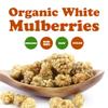 Food to Live Organic Dried White Mulberries, 5 Pounds - Non-GMO, Unsulfured, Bulk view 4